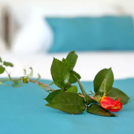 Brankica Apartman *
