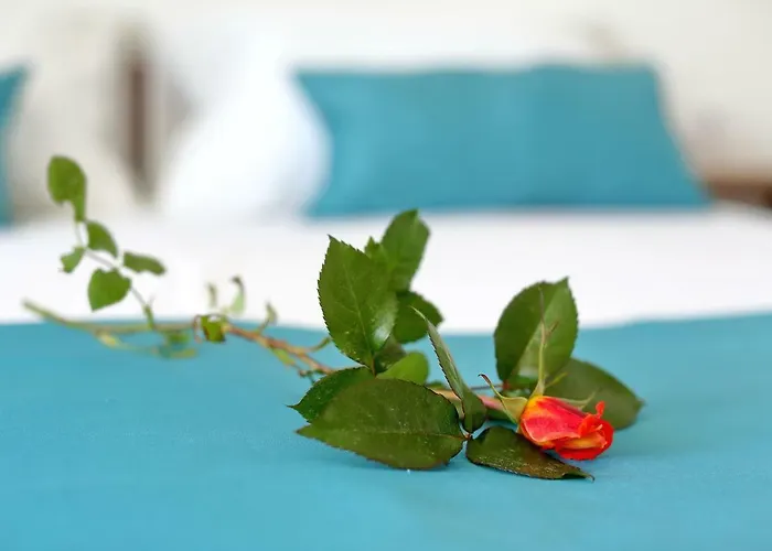 Brankica Lägenhet *