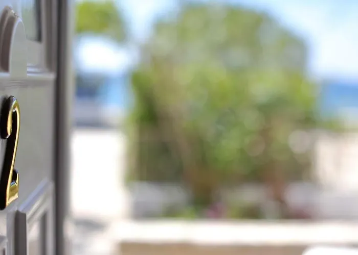 Brankica Ζαντάρ