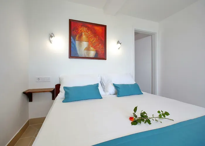 Brankica Ζαντάρ